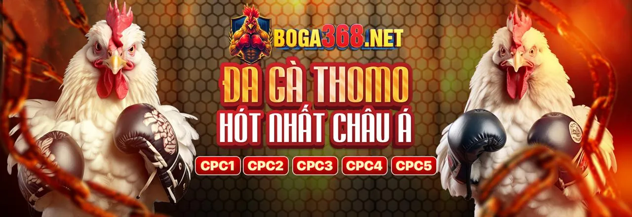 Hình ảnh chính King98 Đăng Nhập